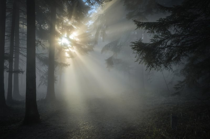 Nature Restorative